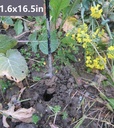 5-set-auger-drill-bit-for-plantingheavy--5.jpg