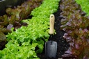 dewit-forged-hand-trowel-4.jpg
