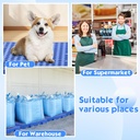 10-pcs-plastic-pallets-for-basement-stor-6.jpg