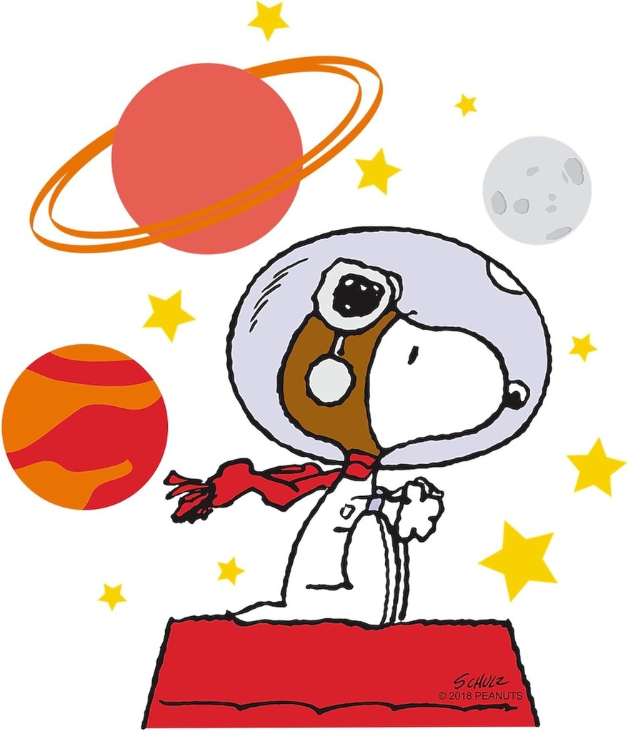 cafepress-space-snoopy-reusable-lunch-bo-2.jpg