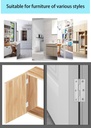 stainless-steel-folding-hinge-cabinet-ca-4.jpg