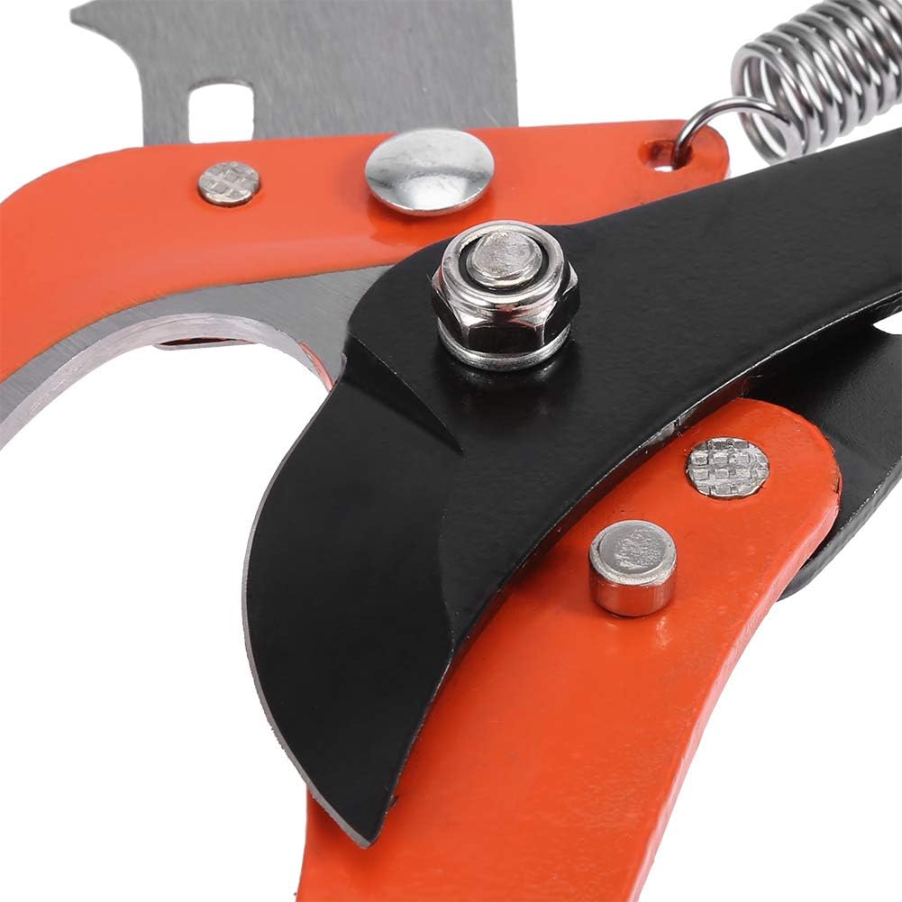 extendable-tree-pole-pruner-2-in-1-outdo-4.jpg
