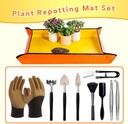bonsai-tools-set-for-beginners-bonsai-tr-3.jpg