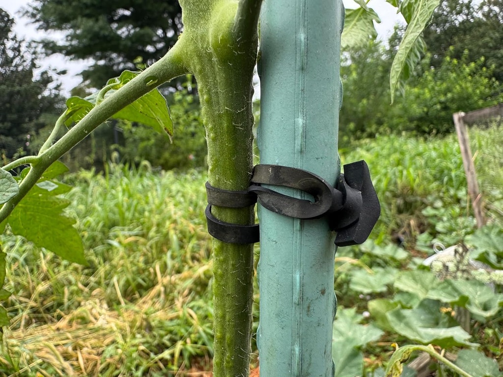 3-synthetic-rubber-plant-ties---50-pack--4.jpg