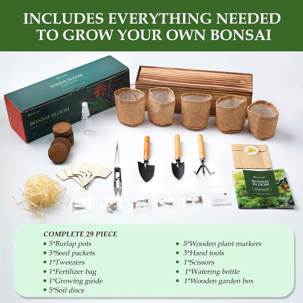 5-diy-bonsai-tree-kit-for-beginners-comp-3.jpg