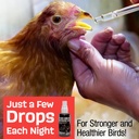flock-shield-respiratory-aid-for-poultry-3.jpg