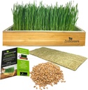 self-watering-cat-grass-kit-hands-down-t-6.jpg