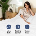 queen-size-4-piece-sheet-set---comfy-bre-4.jpg