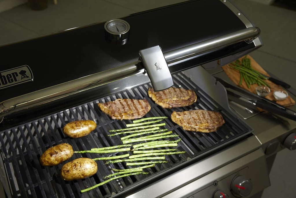 weber-handle-grill-n-go-light-one-size-g-6.jpg