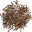 organic-kale-seeds-vates-blue-scotch-cur-2.jpg