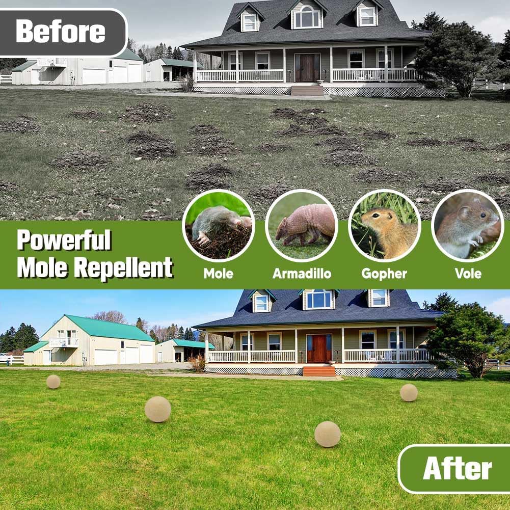 mole-repellent-for-lawns-gopher-repellen-3.jpg
