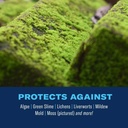 bioadvanced-2-in-1-moss-and-algae-killer-2.jpg