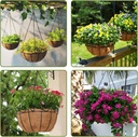 hanging-baskets-chains-23-inches-3-leads-5.jpg