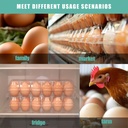 60-packs-12-count-clear-egg-cartons-2-6--5.jpg