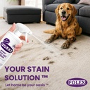 folex-instant-carpet-spot-remover-128-oz-4.jpg