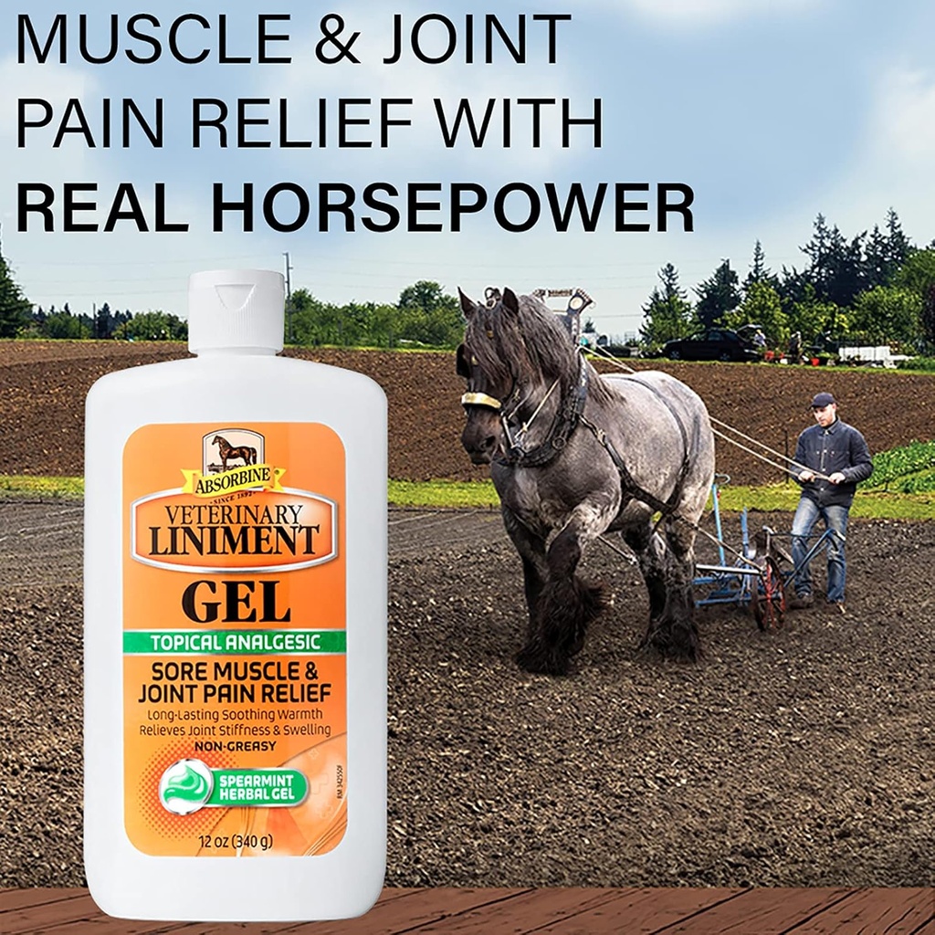absorbine-veterinary-liniment-topical-an-3.jpg