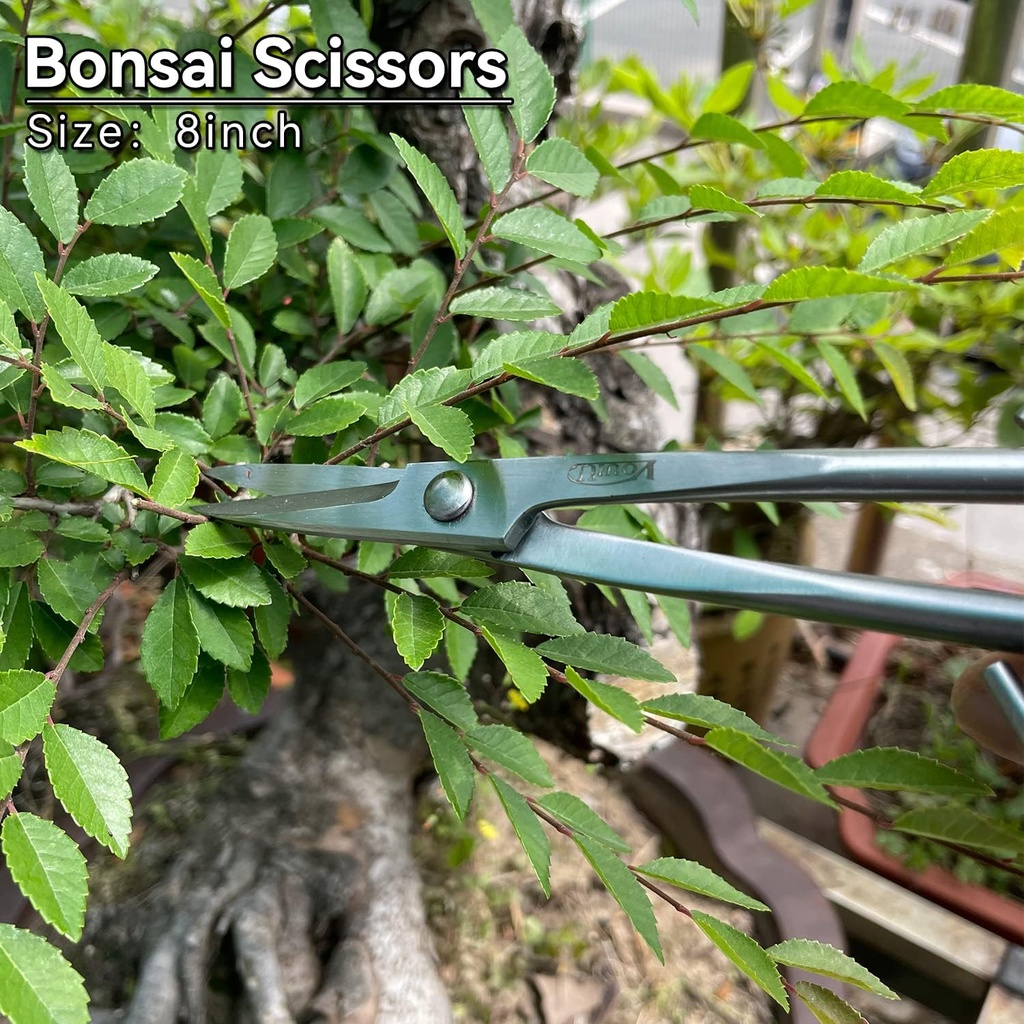 8inch-bonsai-scissors-bonsai-tools-3.jpg
