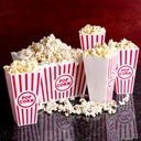 novelty-place-plastic-red-white-striped--6.jpg