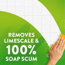 scrubbing-bubbles-mega-bathroom-and-show-2.jpg