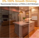 10-pack-dimmable-g25-globe-light-bulbs-l-2.jpg
