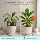 lgl-plant-watering-globes---automatic-se-3.jpg