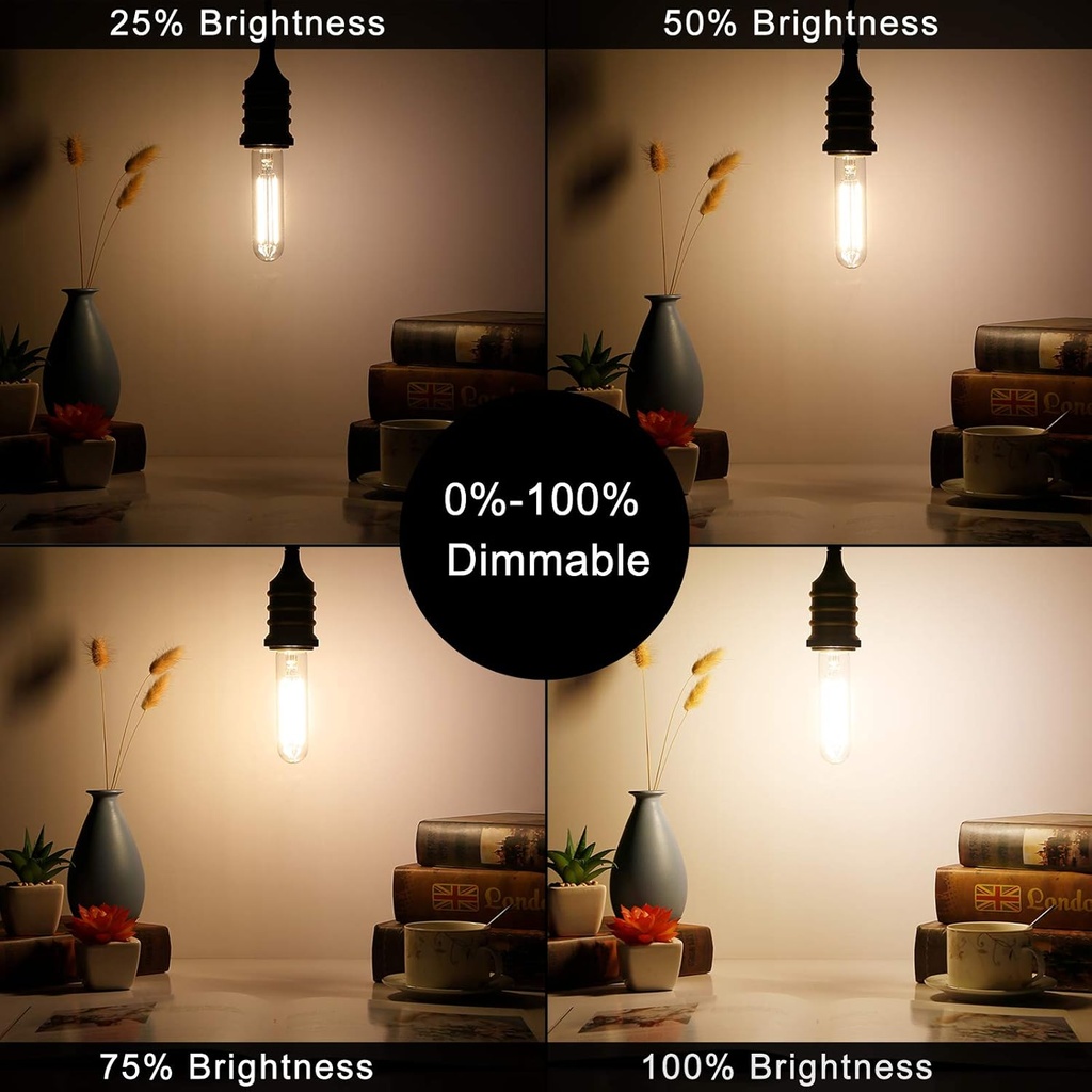 litehistory-dimmable-e26-edison-bulb-6w--4.jpg
