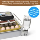 maticoopx-20-egg-incubator-with-humidity-3.jpg