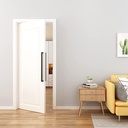 barnsmith-24-barn-door-push-pull-handesq-6.jpg