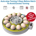 12-egg-incubator-with-humidity-display-e-6.jpg