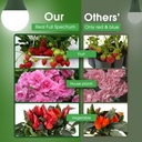 briignite-full-spectrum-led-grow-light-b-3.jpg