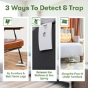 bugmd-bed-bug-trap-1-pack-12-traps---int-4.jpg