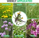 bellajoyz-weed-puller-stand-up-weed-pull-6.jpg