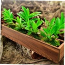 binaryabc-wooden-rectangle-planter-boxwi-3.jpg