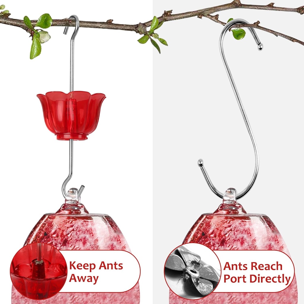 ant-moat-for-hummingbird-feeders-4-pack2-2.jpg