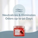 smells-begone-odor-eliminator-gel-beads--2.jpg