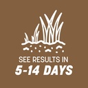 pennington-bare-spot-repair-grass-seed-m-6.jpg