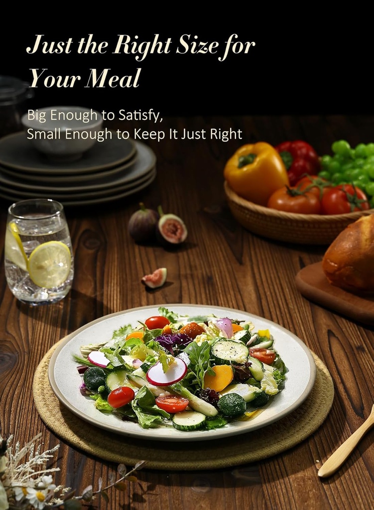 yedio-105-inch-ceramic-dinner-plates-set-5.jpg