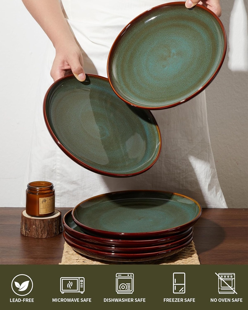 stoneware-dinner-plates-set-of-6-ceramic-3.jpg