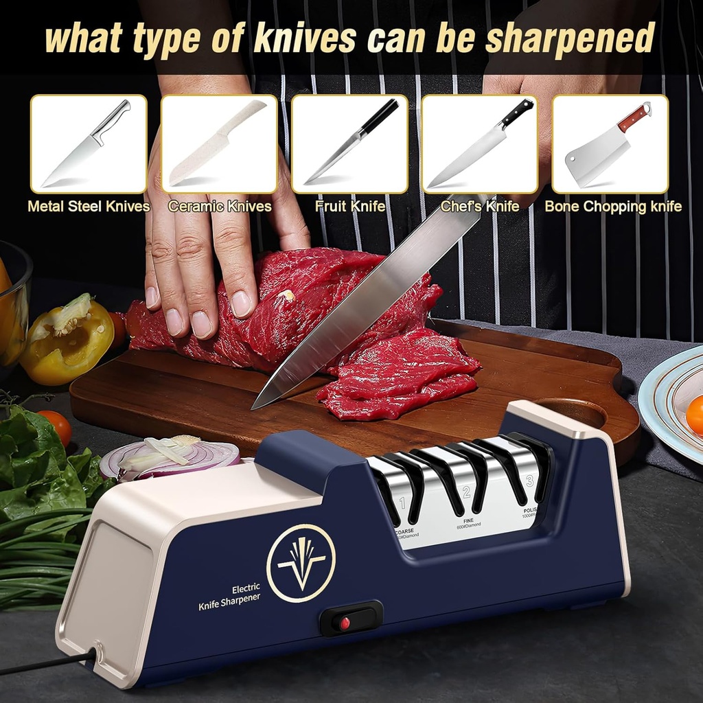 professional-electric-knife-sharpener-wi-6.jpg