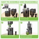 cold-press-juicer-65-extra-large-feed-ch-3.jpg
