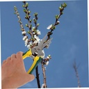 multi-function-goat-hoof-trimmer-handhel-5.jpg