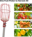 fruit-picker-8-ft-fruit-picker-pole-with-6.jpg