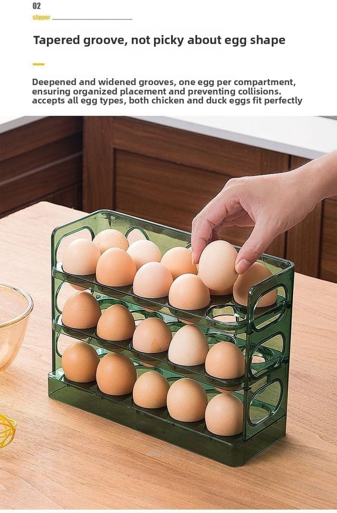 refrigerator-egg-rack-refrigerator-autom-5.jpg