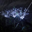 jjgoo-solar-firework-lights-2-pack-120-l-6.jpg