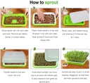 sunpro-2-pack-seed-sprouter-tray-bpa-fre-6.jpg