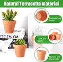terra-cotta-pots-24-pack-315-inch-mini-c-4.jpg
