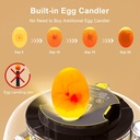 incubator-for-hatching-eggs-18-egg-capac-3.jpg