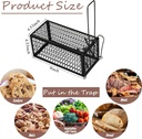 qualirey-2-pcs-humane-rat-trap-chipmunk--4.jpg