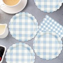 50pcs-light-blue-gingham-party-supplies--5.jpg