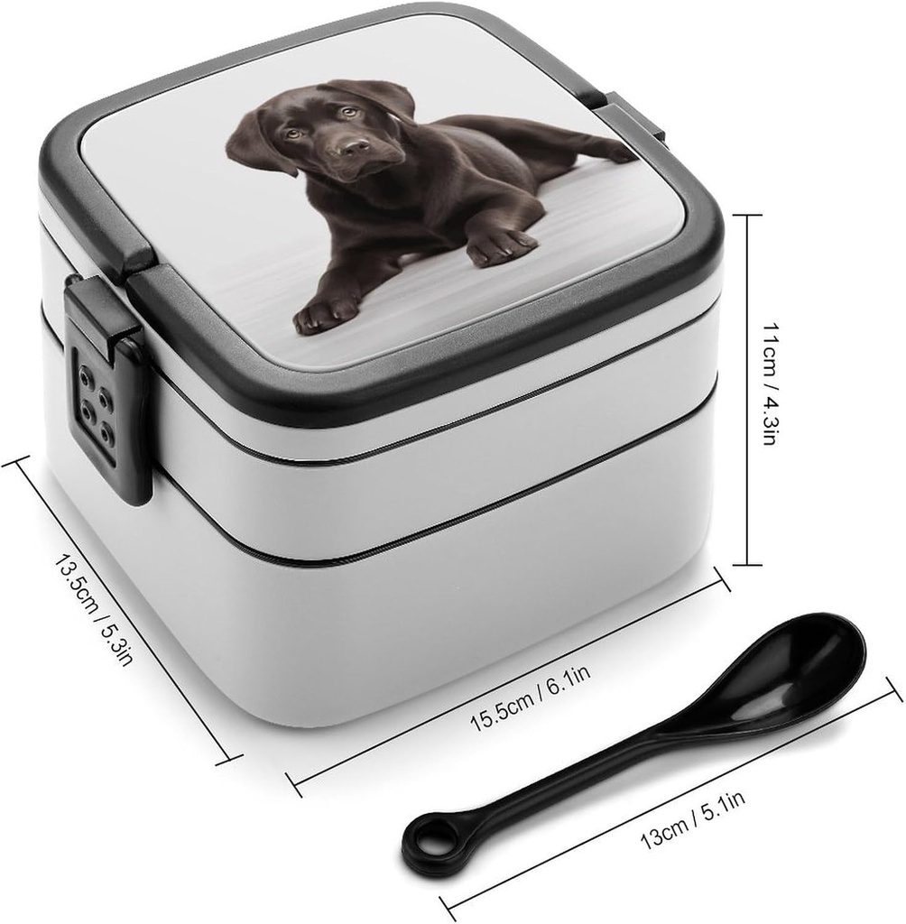 dog-bento-box-double-layer-lunch-box-for-2.jpg